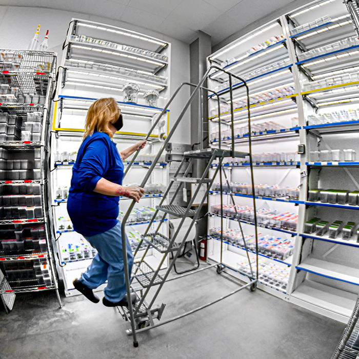 Empleada usando una escalera para acceder a los estantes en un almac&#233;n.