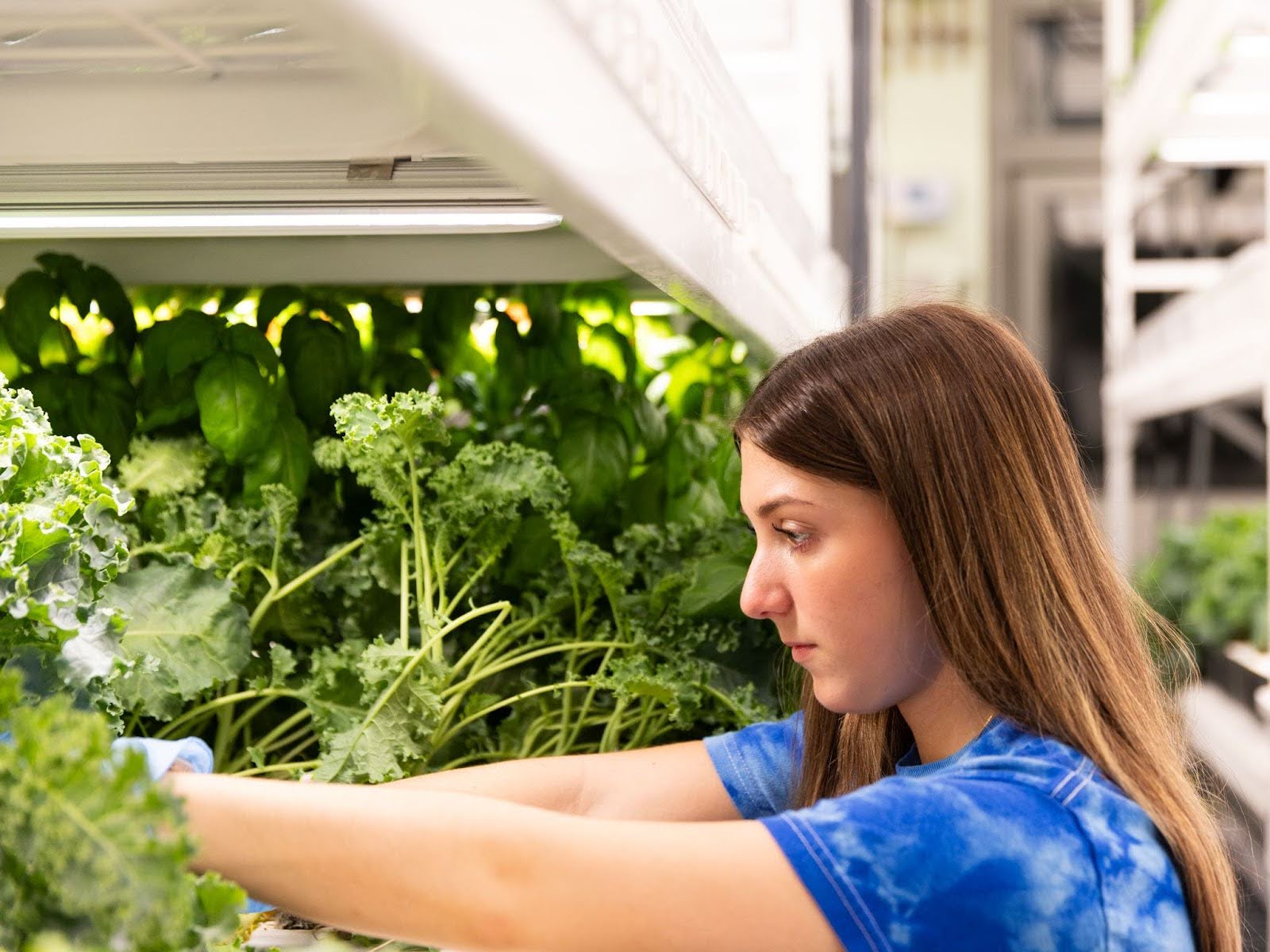 Capacitar a los j&#243;venes para una revoluci&#243;n alimentaria sostenible