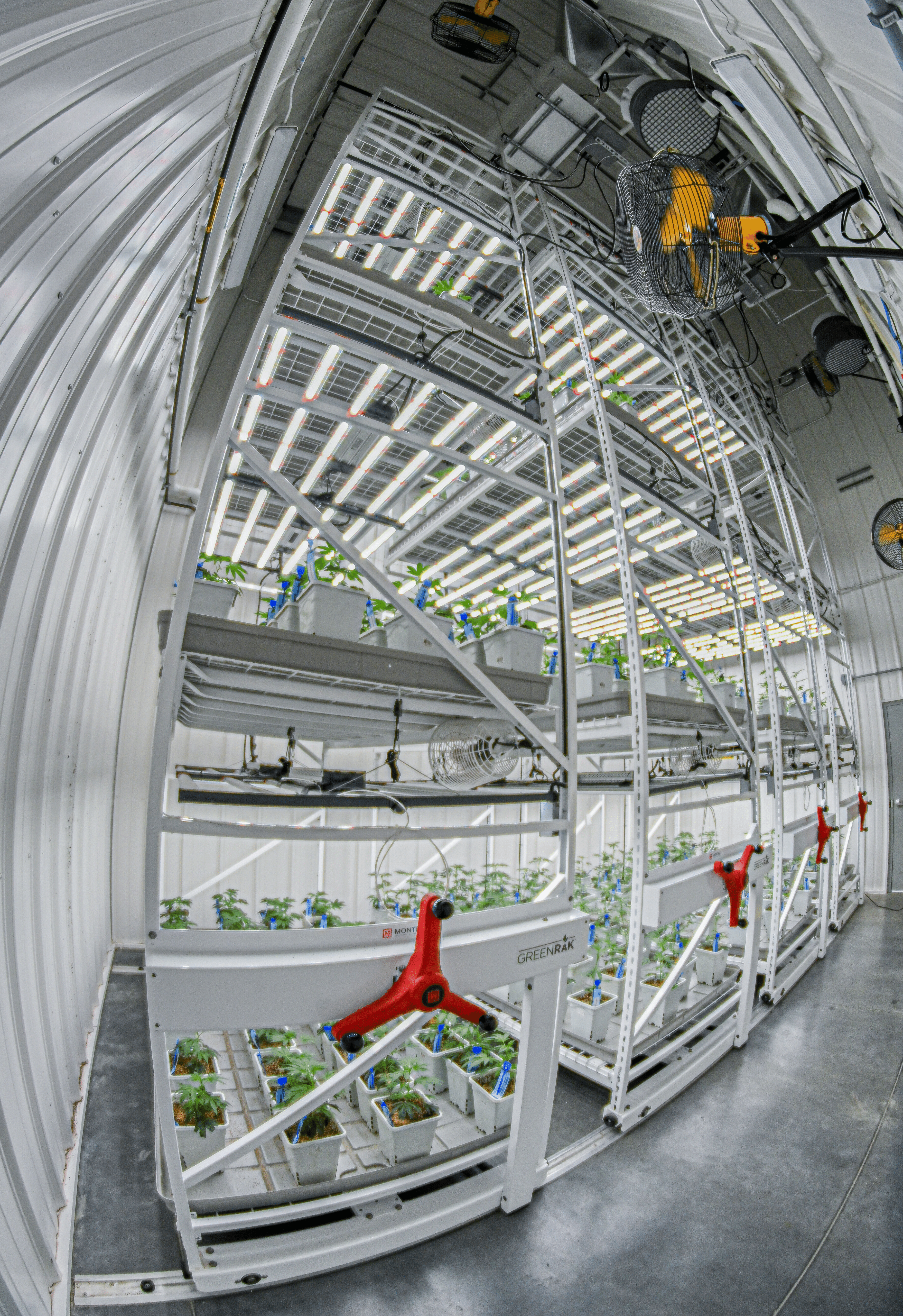 Indoor vertical farming system with LED lighting and mobile shelving, optimized for plant cultivation.