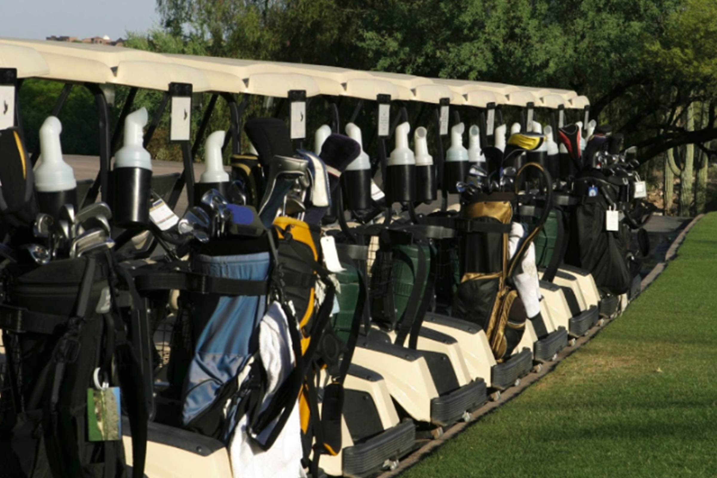 Rang&#233;e de voiturettes de golf avec sacs de golf rang&#233;s &#224; l&#39;arri&#232;re.