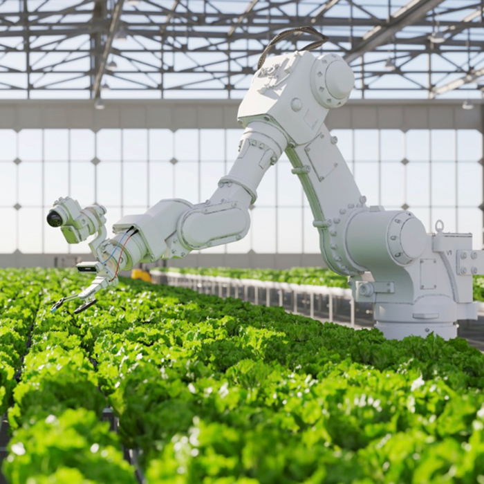 The Role of AI in Vertical Farming