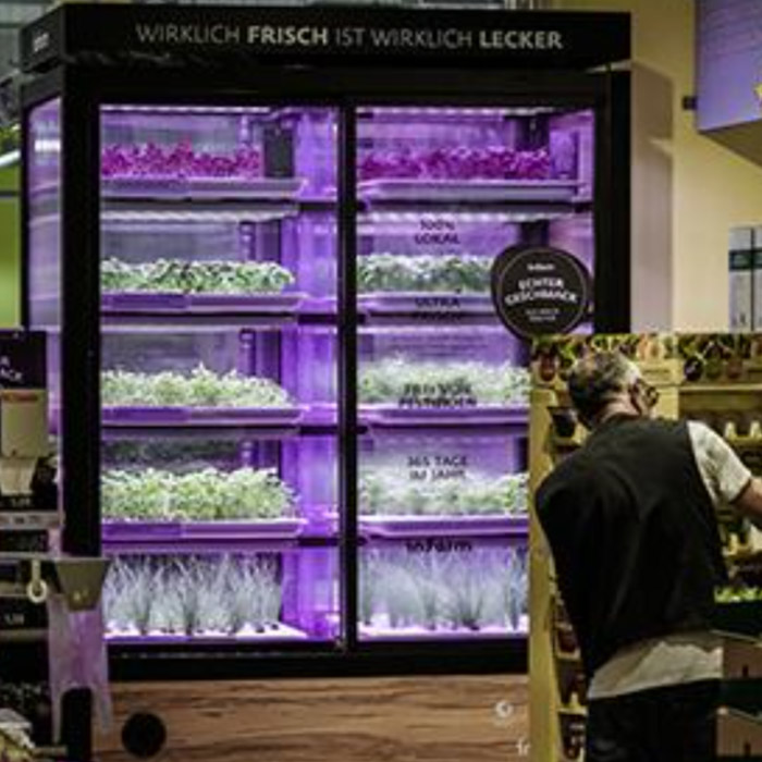 Hydroponics: Great for supermarkets and even better for veggie lovers