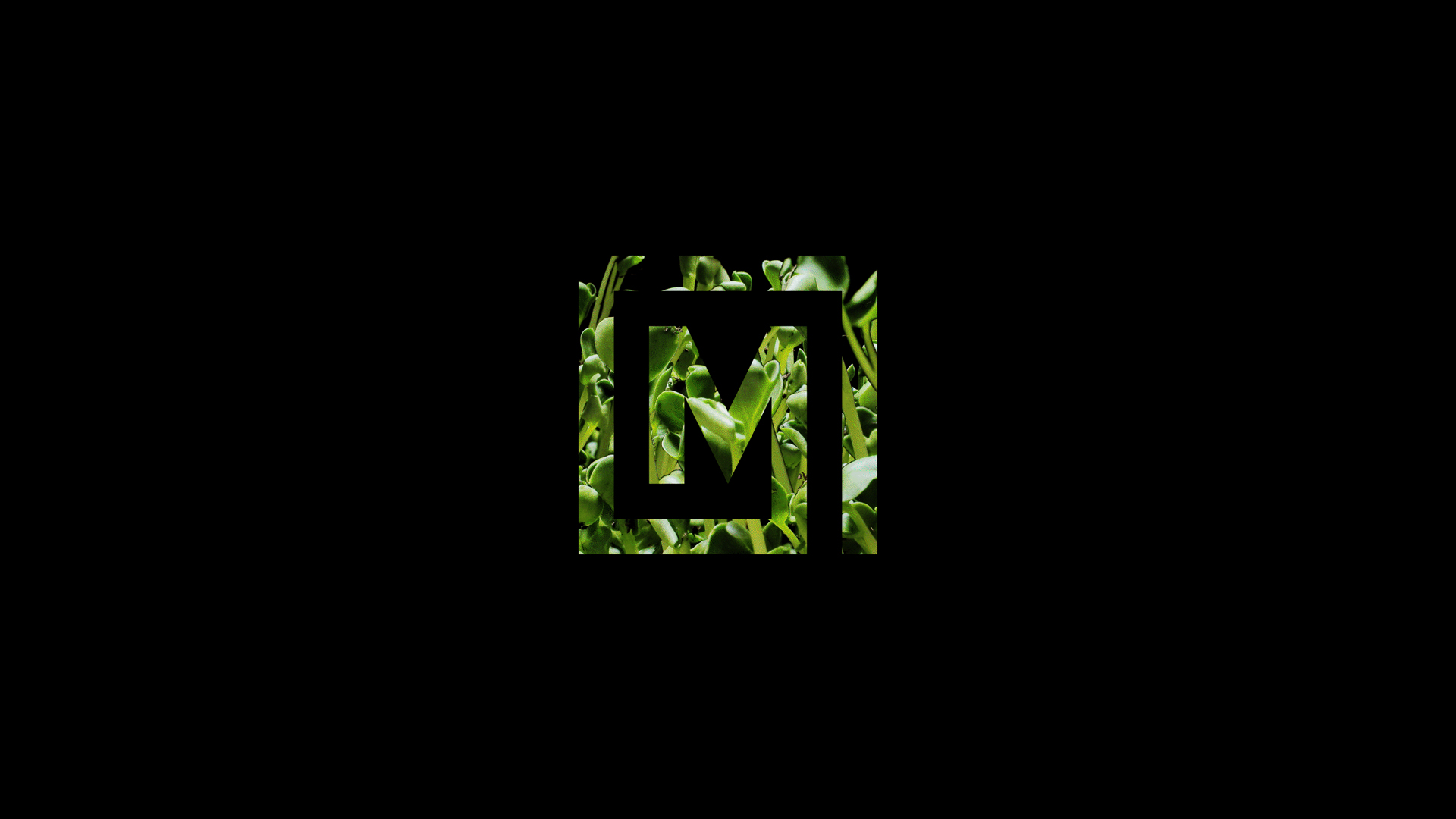 Montel logo with a plant pattern.