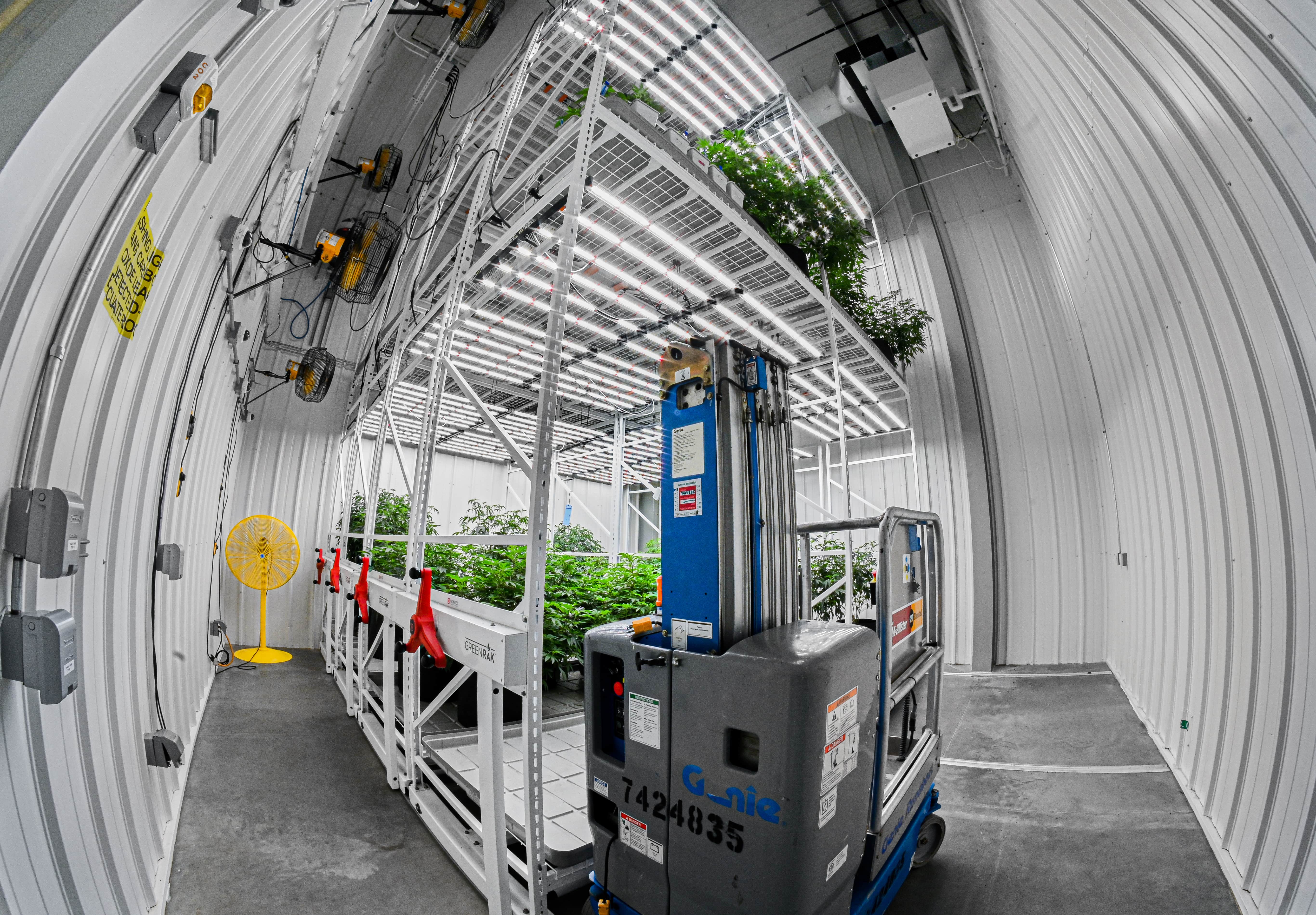 Maintenance equipment in an indoor greenhouse for cannabis cultivation.