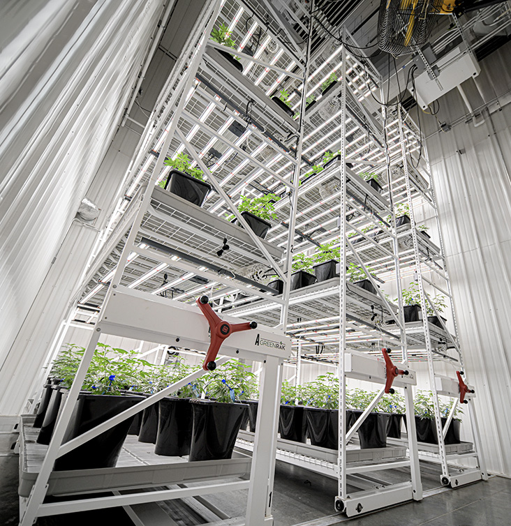 Indoor vertical racking for potted plant cultivation.