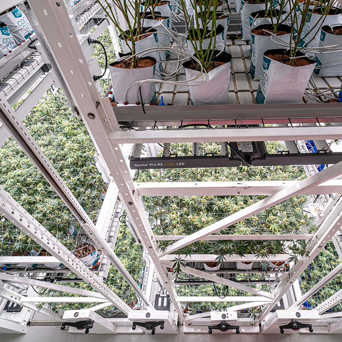 Soluci&#243;n de cultivo vertical de Montel para plantas.