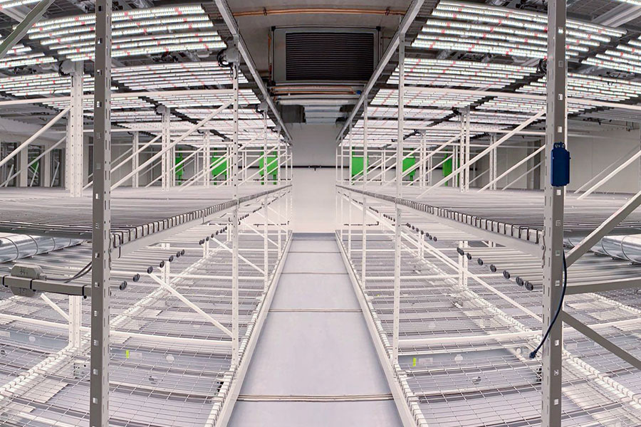 Storage area with empty white shelves and a ceiling above, suggesting a well-organized space.