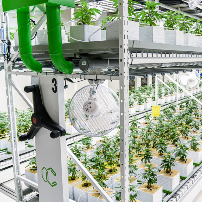 Close-up of a modular shelf in an agricultural setup with potted plants.